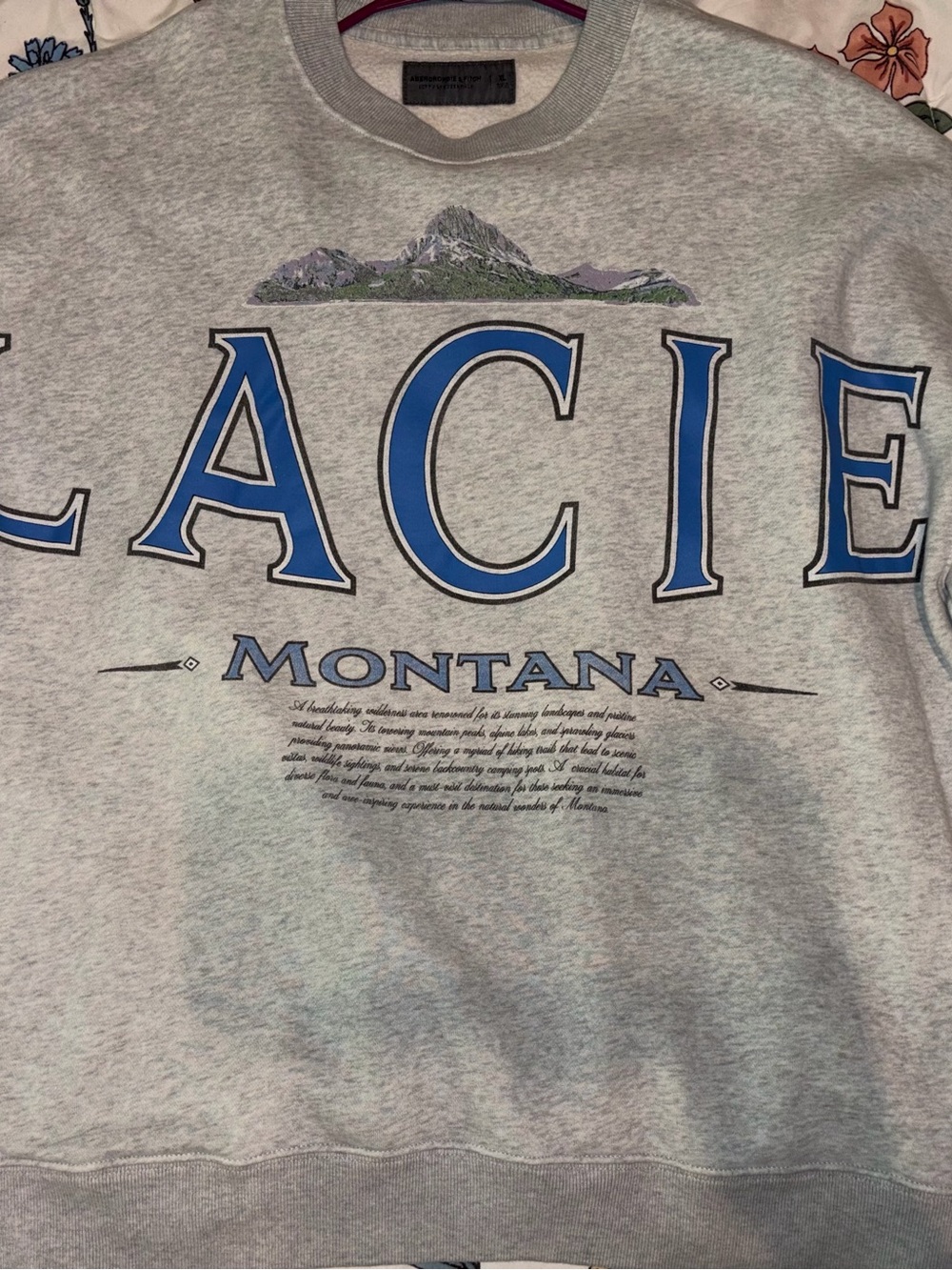 Abercrombie & Fitch Glacier Montana Crewneck